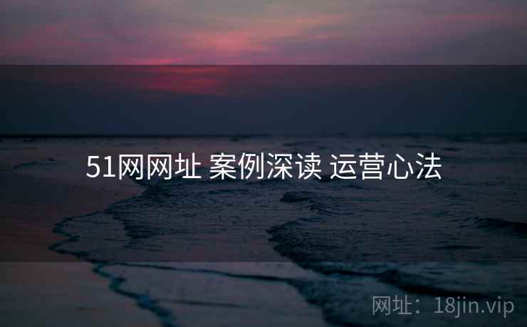 51网网址 案例深读 运营心法  第1张
