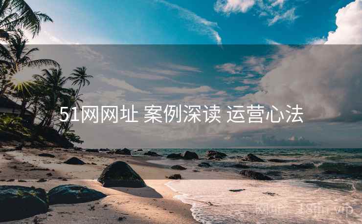 51网网址 案例深读 运营心法  第2张
