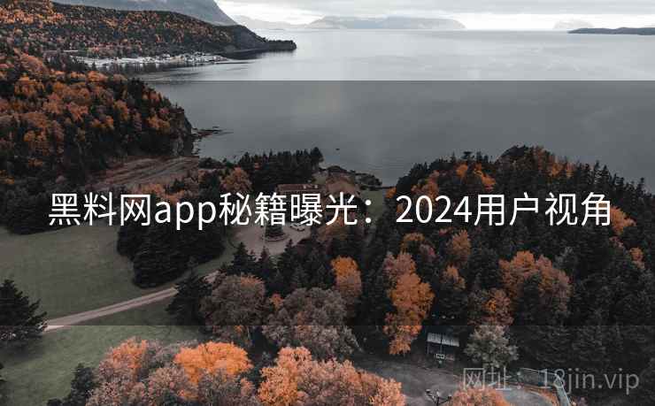 黑料网app秘籍曝光：2024用户视角  第1张