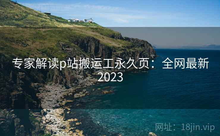 专家解读p站搬运工永久页：全网最新2023  第2张