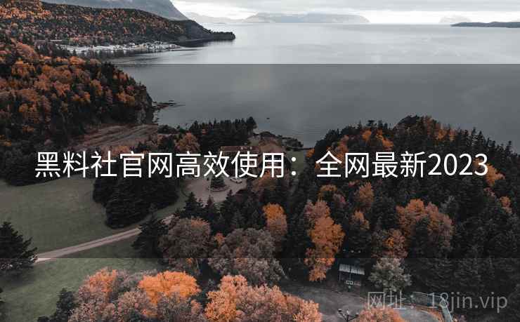 黑料社官网高效使用：全网最新2023  第2张