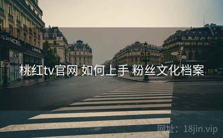桃红tv官网 如何上手 粉丝文化档案  第2张