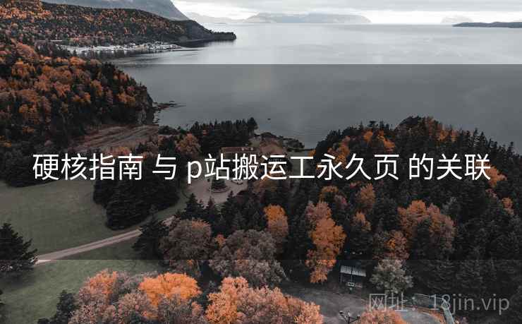硬核指南 与 p站搬运工永久页 的关联  第2张
