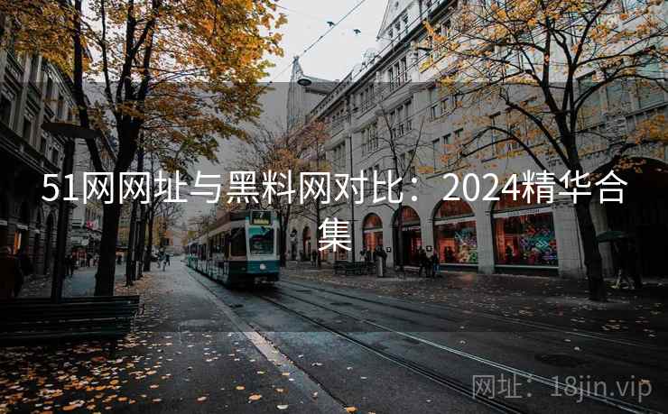 51网网址与黑料网对比：2024精华合集  第1张