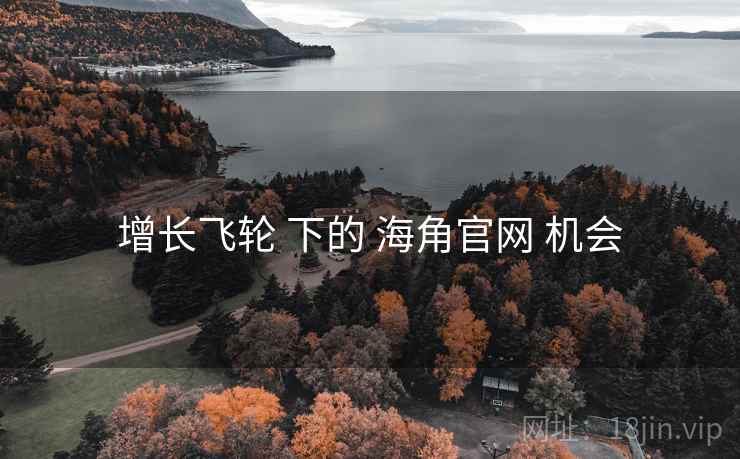 增长飞轮 下的 海角官网 机会  第1张
