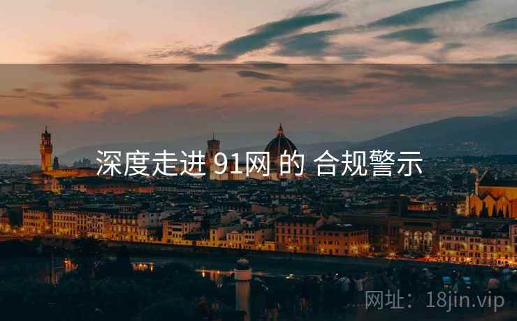 深度走进 91网 的 合规警示  第2张