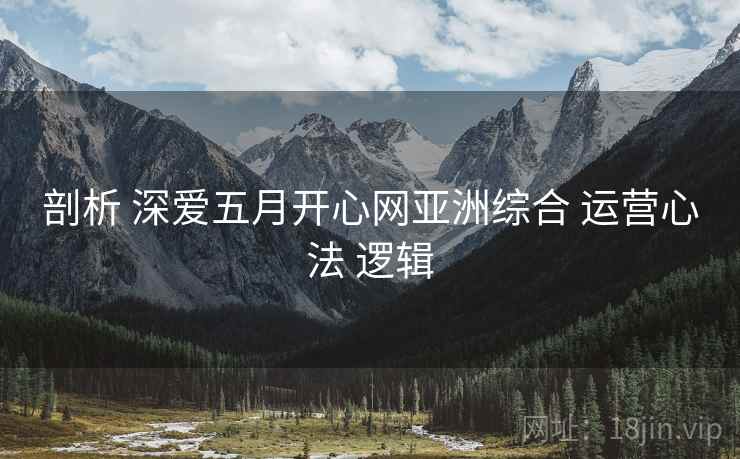 剖析 深爱五月开心网亚洲综合 运营心法 逻辑  第2张