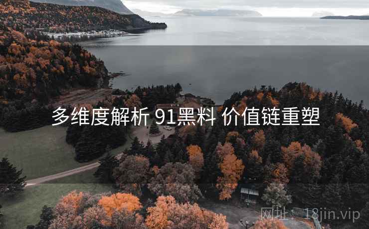 多维度解析 91黑料 价值链重塑  第2张