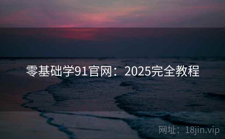零基础学91官网：2025完全教程  第2张