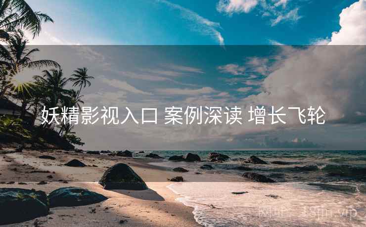妖精影视入口 案例深读 增长飞轮  第1张