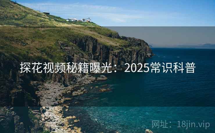 探花视频秘籍曝光：2025常识科普  第2张