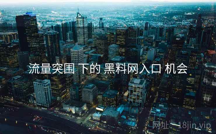 流量突围 下的 黑料网入口 机会  第1张