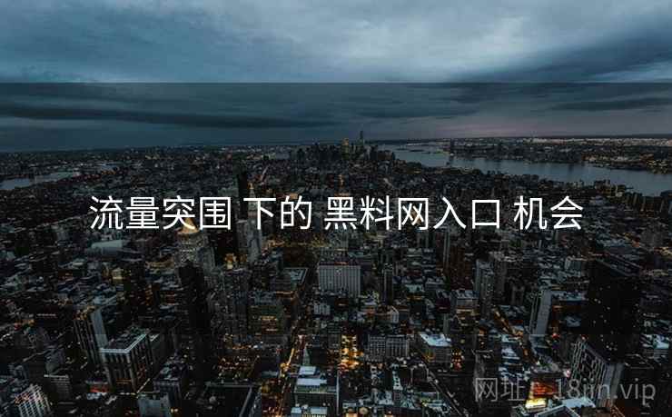流量突围 下的 黑料网入口 机会  第2张