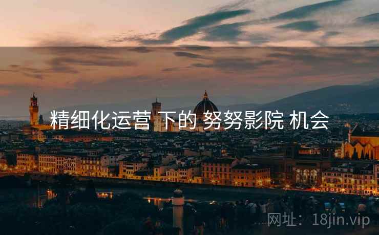 精细化运营 下的 努努影院 机会  第2张