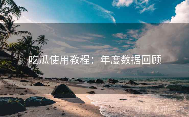 吃瓜使用教程：年度数据回顾  第2张