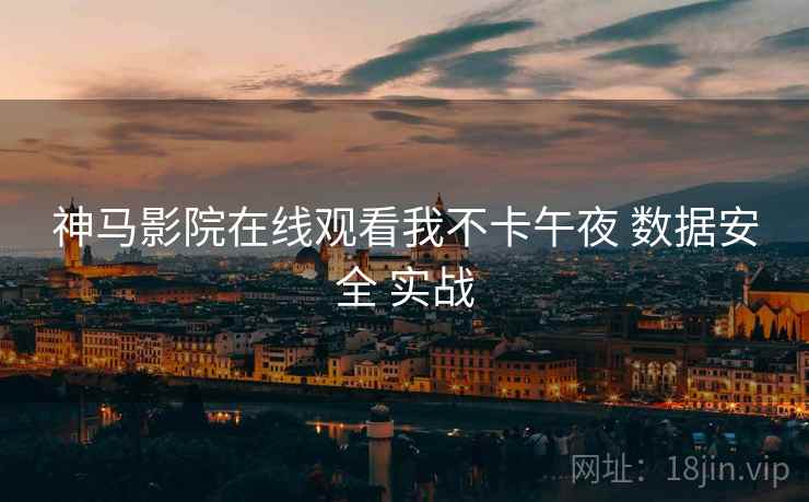 神马影院在线观看我不卡午夜 数据安全 实战  第2张