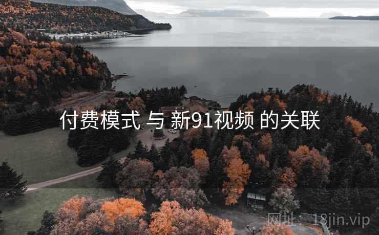 付费模式 与 新91视频 的关联  第2张