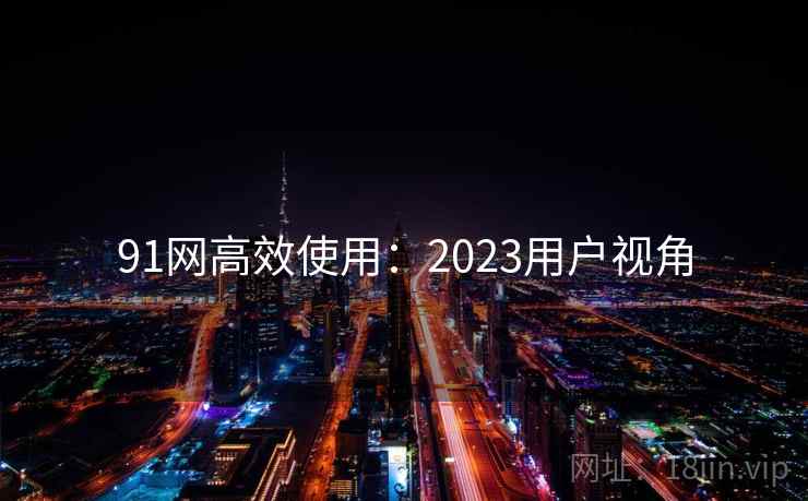 91网高效使用：2023用户视角  第2张