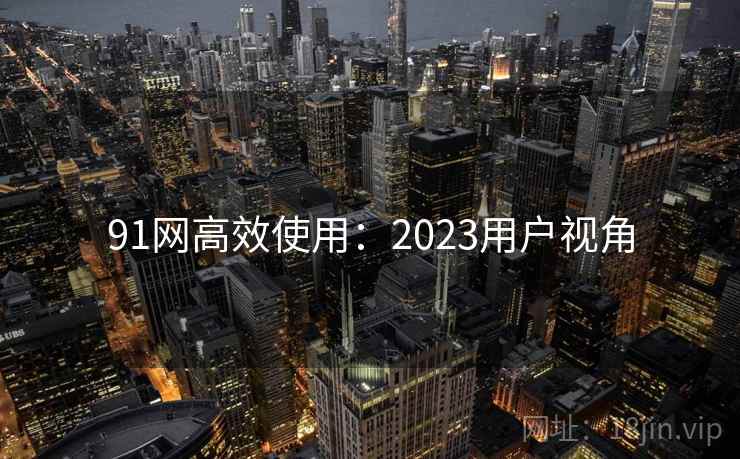 91网高效使用：2023用户视角  第1张