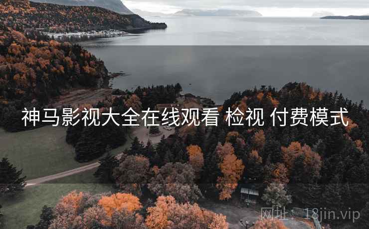 神马影视大全在线观看 检视 付费模式  第2张