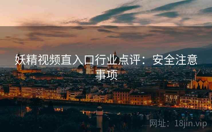 妖精视频直入口行业点评：安全注意事项  第1张