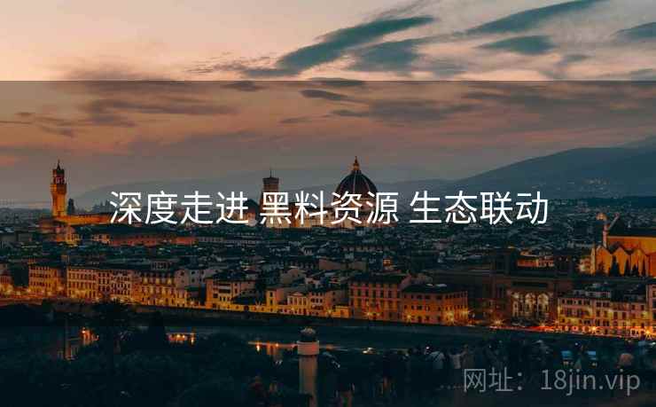 深度走进 黑料资源 生态联动  第2张