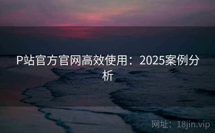 P站官方官网高效使用：2025案例分析  第1张