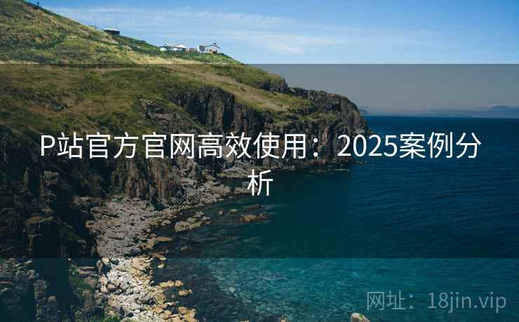 P站官方官网高效使用：2025案例分析  第2张