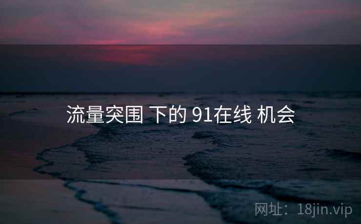 流量突围 下的 91在线 机会  第2张