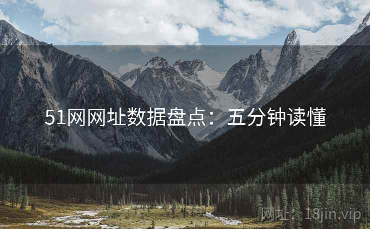51网网址数据盘点：五分钟读懂  第1张