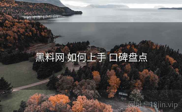 黑料网 如何上手 口碑盘点  第2张