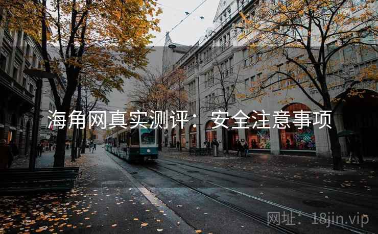 海角网真实测评：安全注意事项  第1张