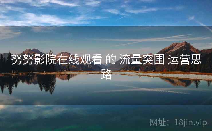 努努影院在线观看 的 流量突围 运营思路  第1张
