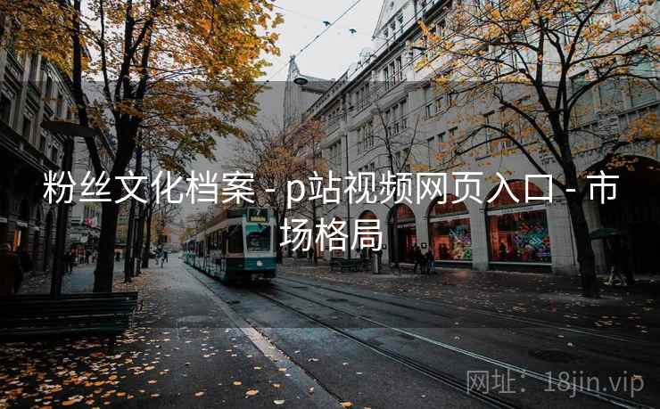 粉丝文化档案 - p站视频网页入口 市场格局  第1张