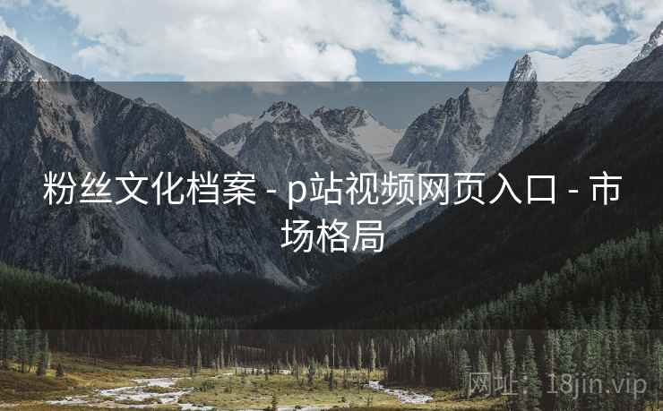 粉丝文化档案 - p站视频网页入口 市场格局  第2张