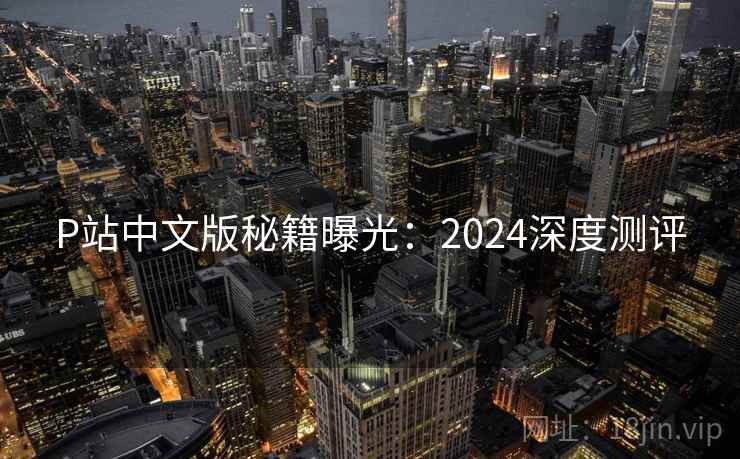 P站中文版秘籍曝光：2024深度测评  第2张