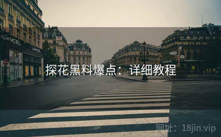 探花黑料爆点：详细教程  第1张