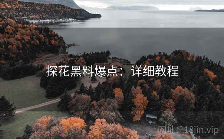 探花黑料爆点：详细教程  第2张
