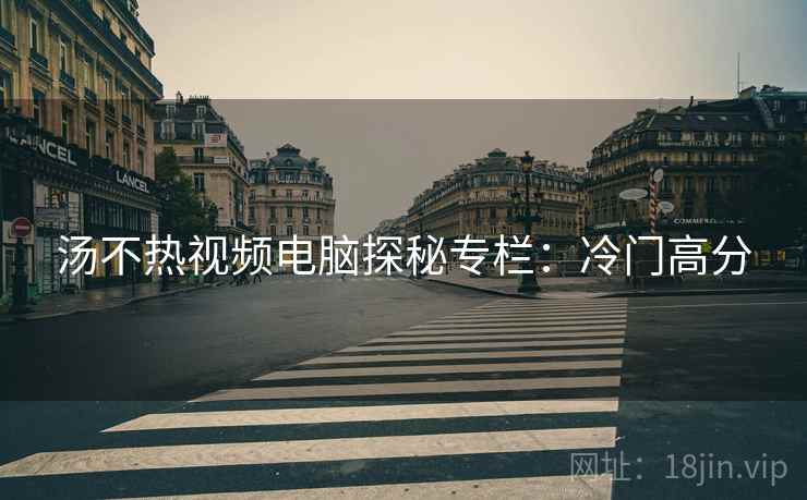 汤不热视频电脑探秘专栏：冷门高分  第1张