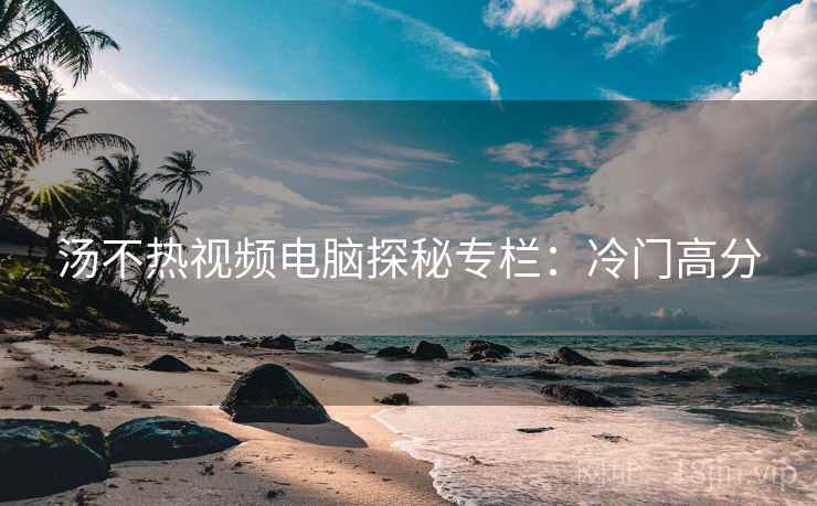 汤不热视频电脑探秘专栏：冷门高分  第2张