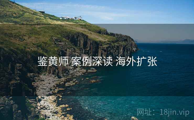 鉴黄师 案例深读 海外扩张  第2张